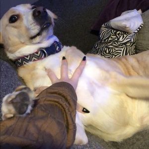 Meet your Posher, Hunter